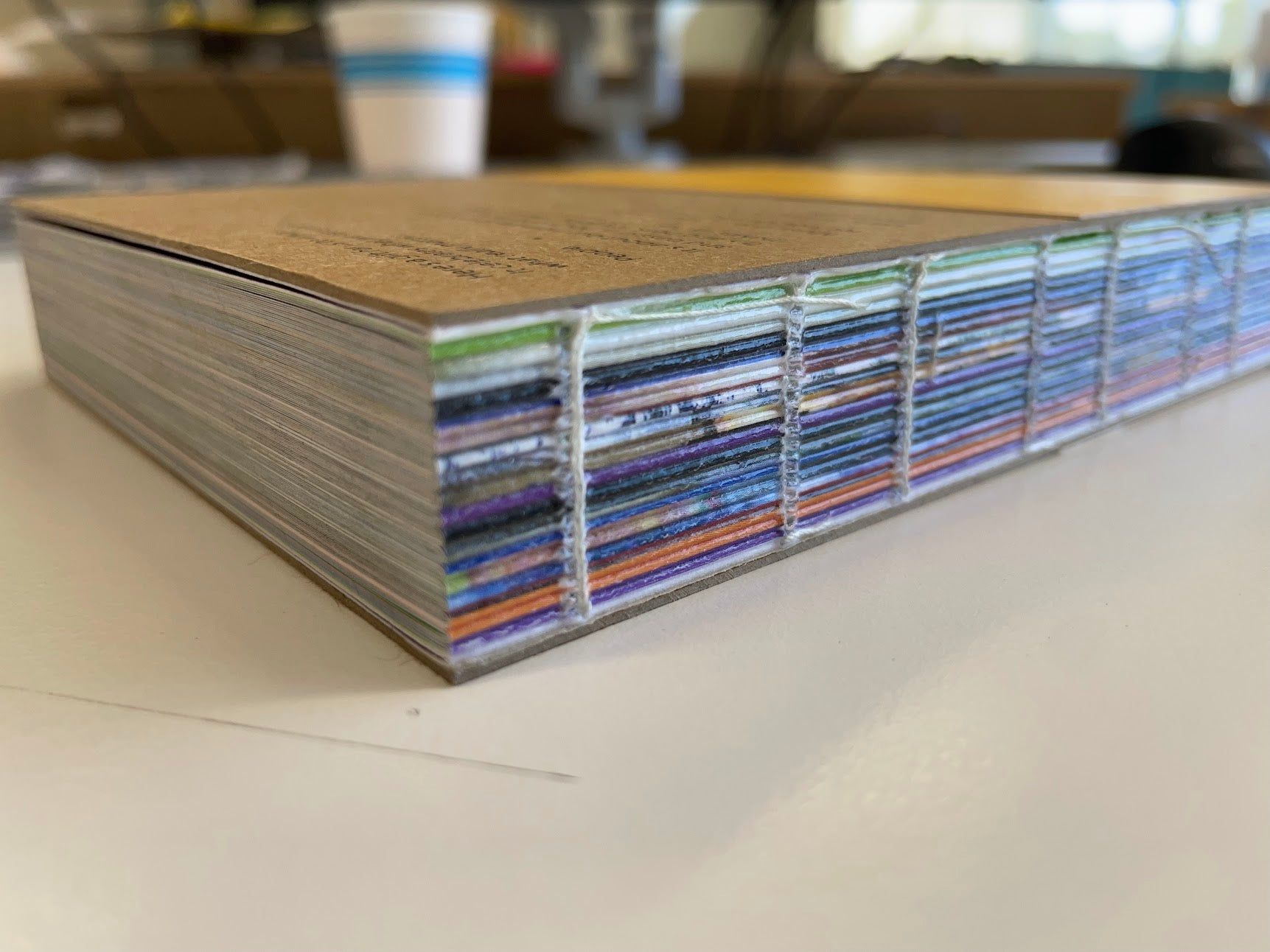 An exposed sewn book spine, showing its folded pages and binding threads